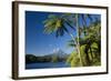 Mount Egmont Lake, Tree Ferns and Perfectly Cone-Shaped-null-Framed Photographic Print