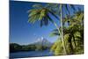Mount Egmont Lake, Tree Ferns and Perfectly Cone-Shaped-null-Mounted Photographic Print