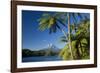 Mount Egmont Lake, Tree Ferns and Perfectly Cone-Shaped-null-Framed Photographic Print