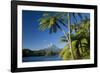 Mount Egmont Lake, Tree Ferns and Perfectly Cone-Shaped-null-Framed Photographic Print