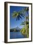 Mount Egmont Lake, Tree Ferns and Perfectly Cone-Shaped-null-Framed Photographic Print