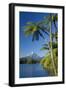 Mount Egmont Lake, Tree Ferns and Perfectly Cone-Shaped-null-Framed Photographic Print