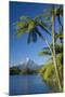 Mount Egmont Lake, Tree Ferns and Perfectly Cone-Shaped-null-Mounted Photographic Print