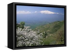 Mount Etna, Island of Sicily, Italy, Mediterranean-N A Callow-Framed Stretched Canvas