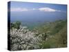 Mount Etna, Island of Sicily, Italy, Mediterranean-N A Callow-Stretched Canvas