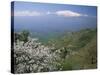 Mount Etna, Island of Sicily, Italy, Mediterranean-N A Callow-Stretched Canvas