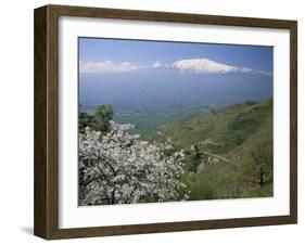 Mount Etna, Island of Sicily, Italy, Mediterranean-N A Callow-Framed Photographic Print