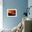 Mount Etna, Near Nicolosi, Italy-Pier Paolo Cito-Framed Photographic Print displayed on a wall