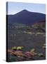 Mount Etna, Sicily, Italy, Europe-Angelo Cavalli-Stretched Canvas