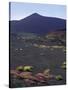 Mount Etna, Sicily, Italy, Europe-Angelo Cavalli-Stretched Canvas