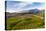 Mount Etna Volcano, UNESCO World Heritage Site, Sicily, Italy, Europe-Matthew Williams-Ellis-Stretched Canvas