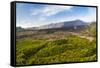 Mount Etna Volcano, UNESCO World Heritage Site, Sicily, Italy, Europe-Matthew Williams-Ellis-Framed Stretched Canvas