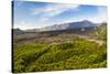 Mount Etna Volcano, UNESCO World Heritage Site, Sicily, Italy, Europe-Matthew Williams-Ellis-Stretched Canvas