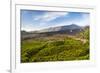 Mount Etna Volcano, UNESCO World Heritage Site, Sicily, Italy, Europe-Matthew Williams-Ellis-Framed Photographic Print