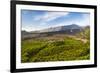 Mount Etna Volcano, UNESCO World Heritage Site, Sicily, Italy, Europe-Matthew Williams-Ellis-Framed Photographic Print