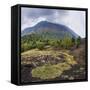 Mount Etna Volcano-Matthew Williams-Ellis-Framed Stretched Canvas