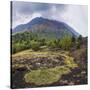 Mount Etna Volcano-Matthew Williams-Ellis-Stretched Canvas