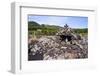 Mount Etna Volcano-Matthew Williams-Ellis-Framed Photographic Print