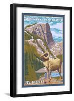 Mount Evans, Colorado, Big Horn Sheep-Lantern Press-Framed Art Print