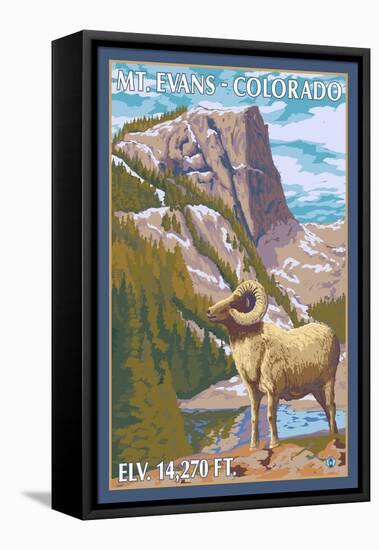 Mount Evans, Colorado, Big Horn Sheep-Lantern Press-Framed Stretched Canvas