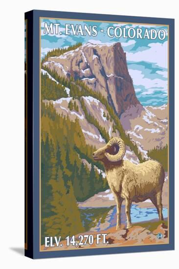 Mount Evans, Colorado, Big Horn Sheep-Lantern Press-Stretched Canvas