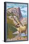 Mount Evans, Colorado, Big Horn Sheep-Lantern Press-Stretched Canvas