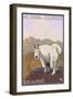 Mount Evans, Colorado, Mountain Goat-Lantern Press-Framed Art Print