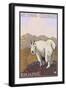 Mount Evans, Colorado, Mountain Goat-Lantern Press-Framed Art Print