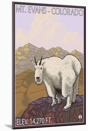 Mount Evans, Colorado, Mountain Goat-Lantern Press-Mounted Art Print