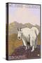 Mount Evans, Colorado, Mountain Goat-Lantern Press-Stretched Canvas