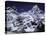 Mount Everest and Ama Dablam, Nepal-Michael Brown-Stretched Canvas