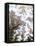 Mount Everest, Satellite Image-PLANETOBSERVER-Framed Stretched Canvas