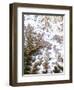 Mount Everest, Satellite Image-PLANETOBSERVER-Framed Premium Photographic Print