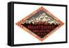 Mount Everest-null-Framed Stretched Canvas