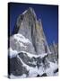 Mount Fitz Roy in Argentina-Craig Lovell-Stretched Canvas