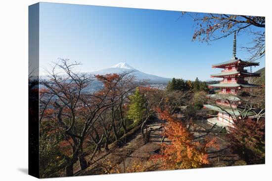 Mount Fuji 3776M and Arakura Sengen Jinja Shinto Shrine, Honshu, Japan, Asia-Christian Kober-Stretched Canvas