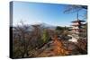 Mount Fuji 3776M and Arakura Sengen Jinja Shinto Shrine, Honshu, Japan, Asia-Christian Kober-Stretched Canvas