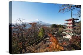 Mount Fuji 3776M and Arakura Sengen Jinja Shinto Shrine, Honshu, Japan, Asia-Christian Kober-Stretched Canvas