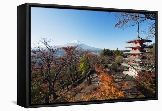 Mount Fuji 3776M and Arakura Sengen Jinja Shinto Shrine, Honshu, Japan, Asia-Christian Kober-Framed Stretched Canvas