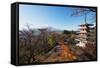 Mount Fuji 3776M and Arakura Sengen Jinja Shinto Shrine, Honshu, Japan, Asia-Christian Kober-Framed Stretched Canvas