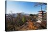 Mount Fuji 3776M and Arakura Sengen Jinja Shinto Shrine, Honshu, Japan, Asia-Christian Kober-Stretched Canvas