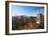 Mount Fuji 3776M and Arakura Sengen Jinja Shinto Shrine, Honshu, Japan, Asia-Christian Kober-Framed Photographic Print