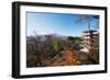 Mount Fuji 3776M and Arakura Sengen Jinja Shinto Shrine, Honshu, Japan, Asia-Christian Kober-Framed Photographic Print