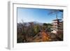 Mount Fuji 3776M and Arakura Sengen Jinja Shinto Shrine, Honshu, Japan, Asia-Christian Kober-Framed Photographic Print