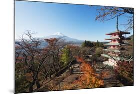 Mount Fuji 3776M and Arakura Sengen Jinja Shinto Shrine, Honshu, Japan, Asia-Christian Kober-Mounted Photographic Print