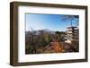 Mount Fuji 3776M and Arakura Sengen Jinja Shinto Shrine, Honshu, Japan, Asia-Christian Kober-Framed Photographic Print