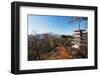 Mount Fuji 3776M and Arakura Sengen Jinja Shinto Shrine, Honshu, Japan, Asia-Christian Kober-Framed Photographic Print