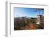 Mount Fuji 3776M and Arakura Sengen Jinja Shinto Shrine, Honshu, Japan, Asia-Christian Kober-Framed Photographic Print