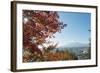 Mount Fuji, 3776M, UNESCO World Heritage Site, and Autumn Colours, Honshu, Japan, Asia-Christian Kober-Framed Photographic Print