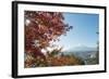 Mount Fuji, 3776M, UNESCO World Heritage Site, and Autumn Colours, Honshu, Japan, Asia-Christian Kober-Framed Photographic Print